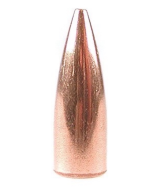 .308 125 Grain Jacketed Hollow Point(100 count)